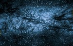 Interview on Dark Matter
